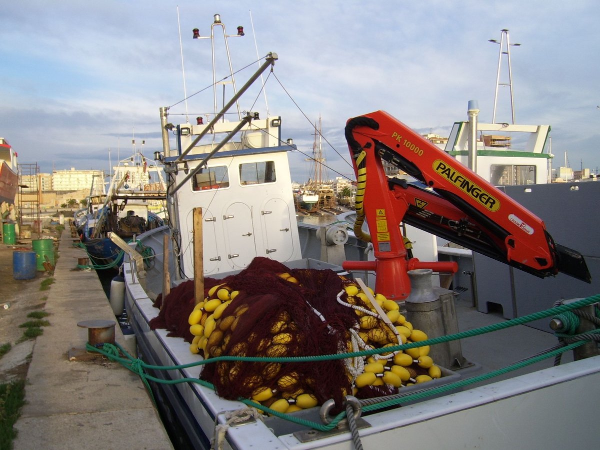 Imagen de Capitol 9 - 2009